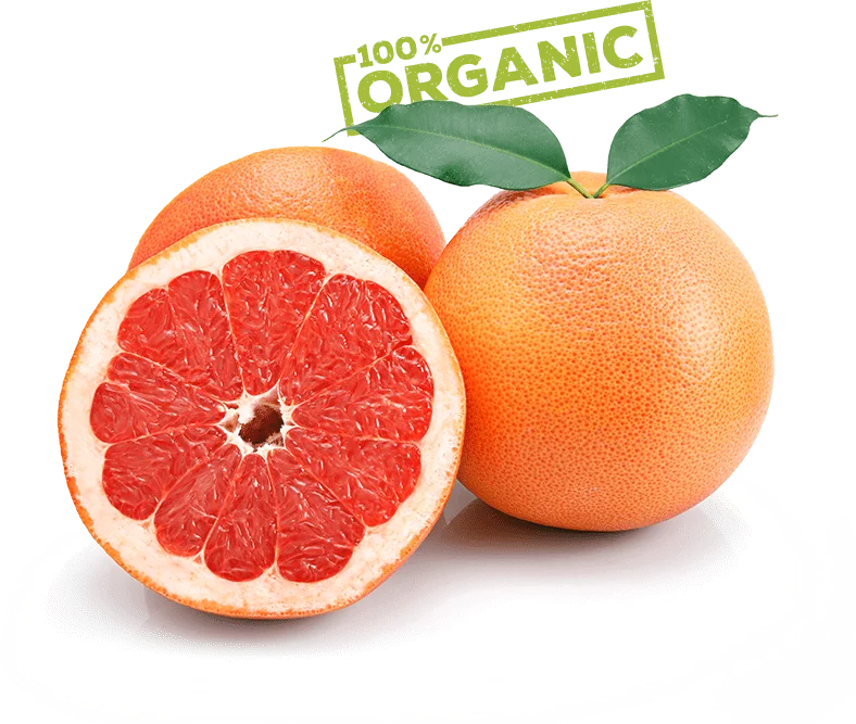 Fresh food ingredients arranged in a circle